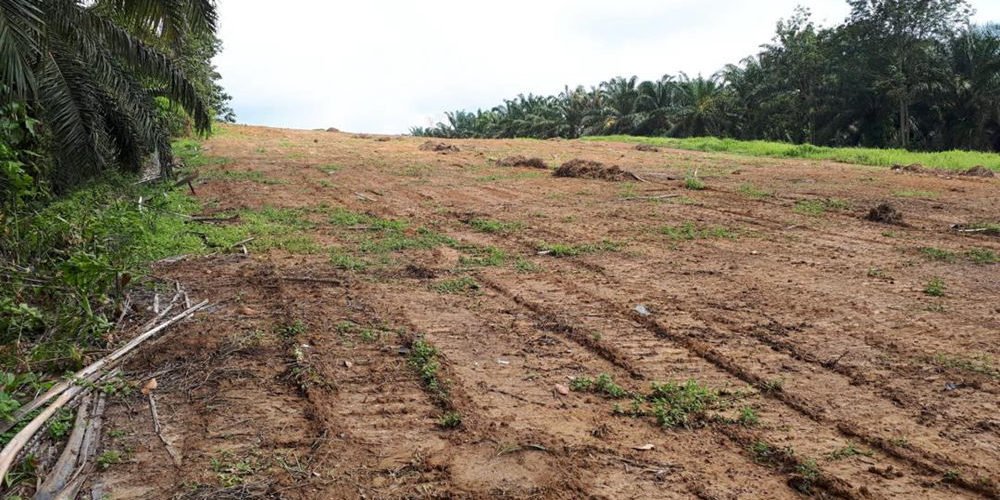 3. Empyrean 1 3. Empyrean 1